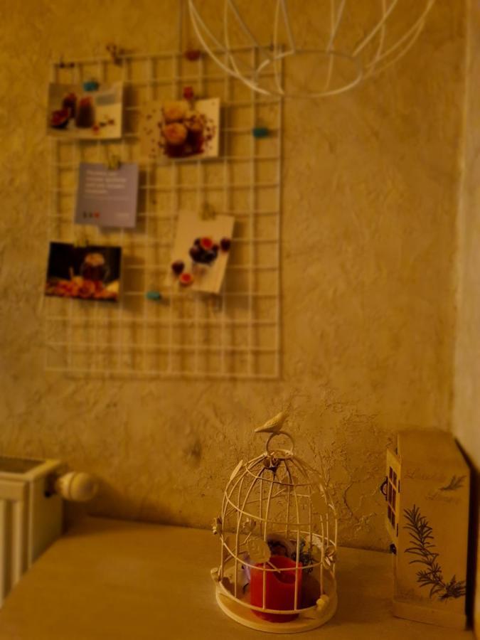 Cozy Compact Flat In The City Center Львов Экстерьер фото